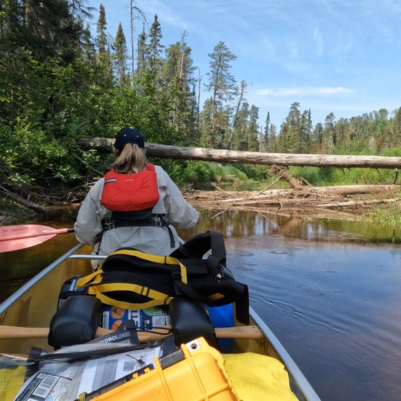 Meet your Posher, YJ Treasures. - Picture 12 of 13